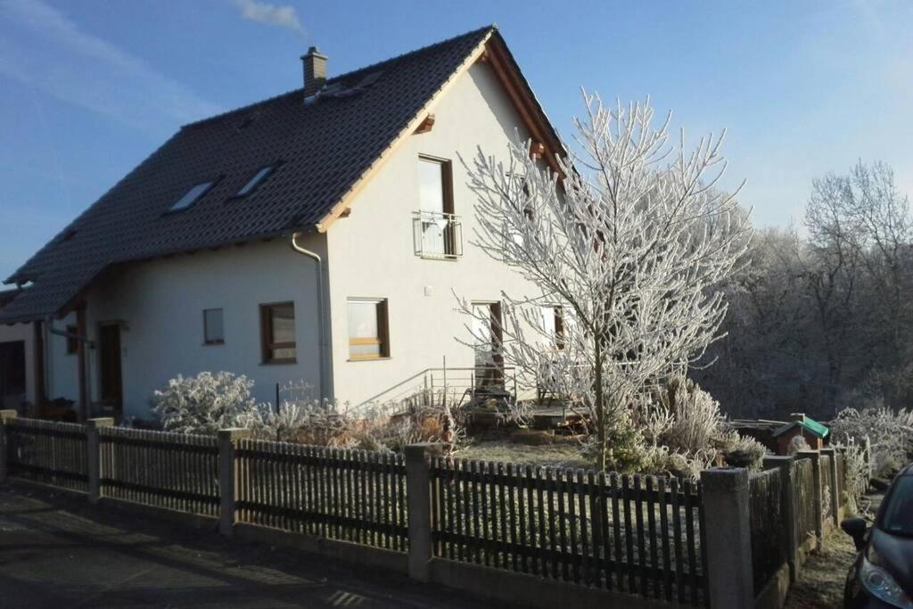 Appartment Am Traetzhof Фульда Экстерьер фото